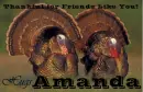 Friends Like You - Amanda