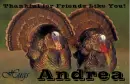 Friends Like You - Andrea