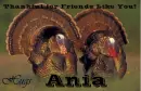 Friends Like You - Ania