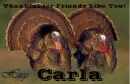 Friends Like You - Carla