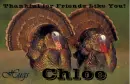 Friends Like You - Chloe