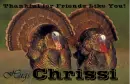 Friends Like You - Chrissi