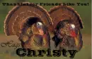 Friends Like You - Christy