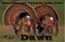 Friends Like You - Dawn