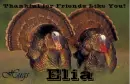 Friends Like You - Elia