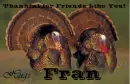 Friends Like You - Fran