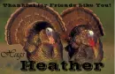 Friends Like You - Heather