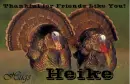 Friends Like You - Heike