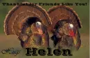 Friends Like You - Helen