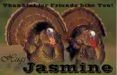 Friends Like You - Jasmine