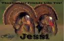 Friends Like You - Jessi