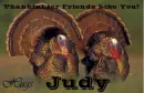 Friends Like You - Judy