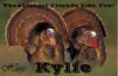 Friends Like You - Kylie