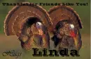 Friends Like You - Linda