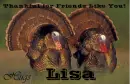 Friends Like You - Lisa