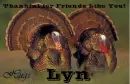 Friends Like You - Lyn