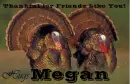 Friends Like You - Megan