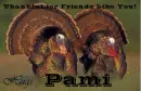 Friends Like You - Pami