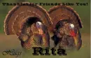 Friends Like You - Rita