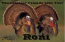 Friends Like You - Roni