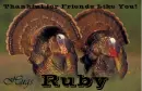 Friends Like You - Ruby
