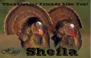 Friends Like You - Sheila