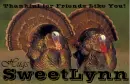 Friends Like You - SweetLynn