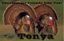 Friends Like You - Tonya