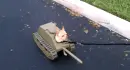 Tank dog