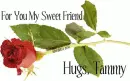 Rose For You Sweet Friend - Tammy