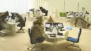 Meow