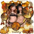 tabby