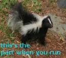 I'd start running if I where you