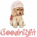 good night