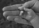 baby's hands