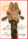 Giraffe-Love It-Tammy