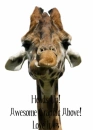 Giraffe-Love It
