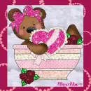 teddy bears 