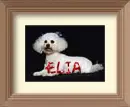 Elia