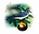 Happy Holiday 