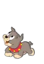 Cute Dog