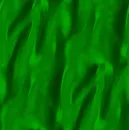 silk
