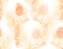 Angels