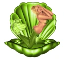 Mermaid in Shell