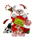 chrissi