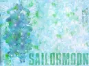 Sailor Scouts