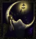 moon+night