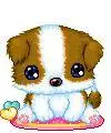 cute puppy with big eyes
