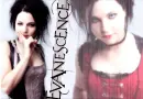 Amy Lee