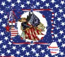 Veterans day
